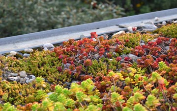 the cost of Tarrant Crawford green roof installation
