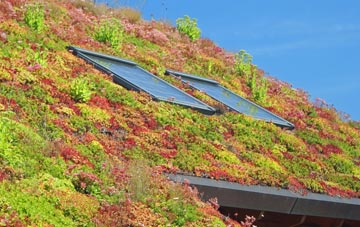 Tarrant Crawford living roof systems